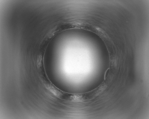 X0000070430660200606091305