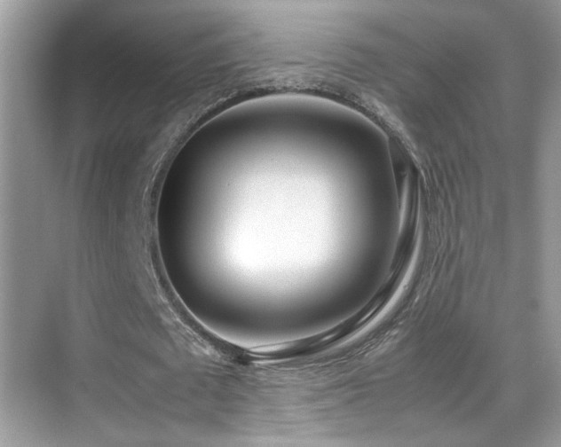 X0000070430673200606091305