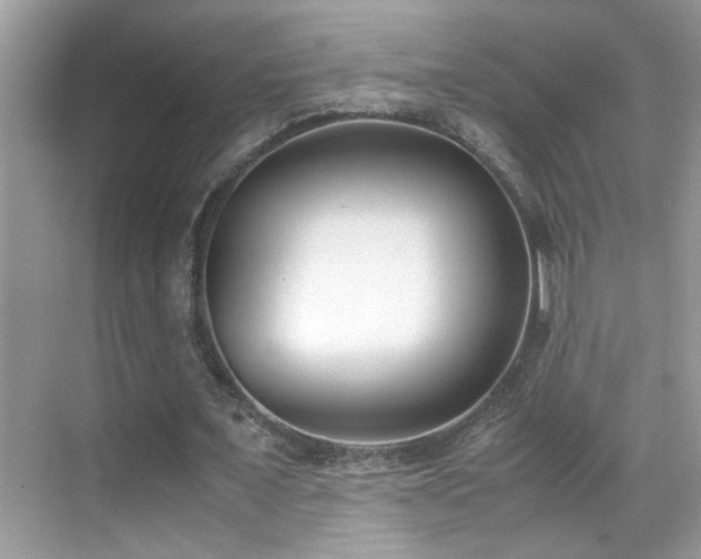 X0000070430675200606091305