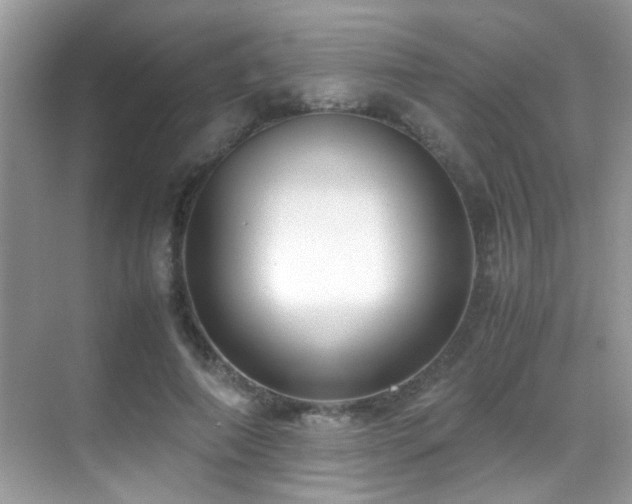 X0000070430690200606091304