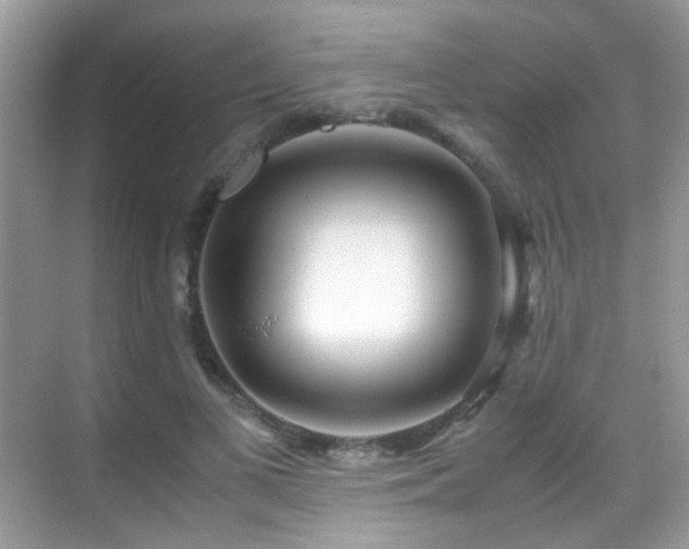 X0000070430693200606091304