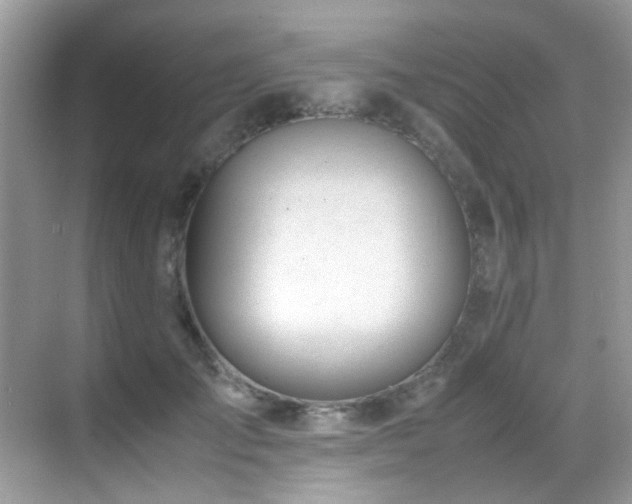 X0000070430701200606091304