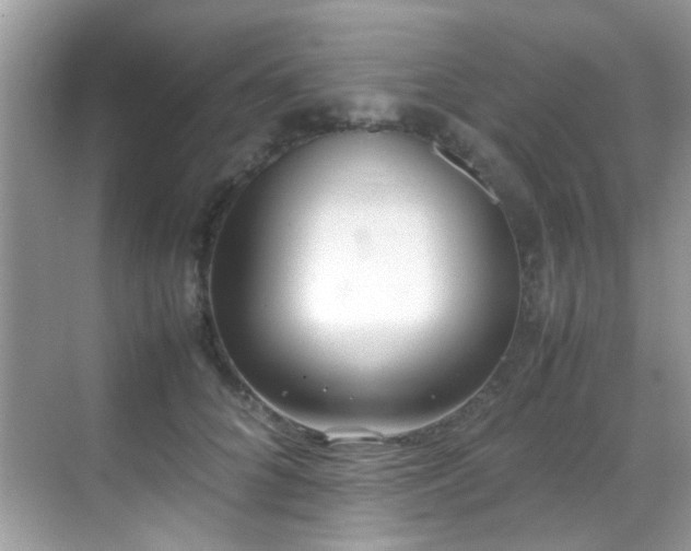 X0000070430704200606091304
