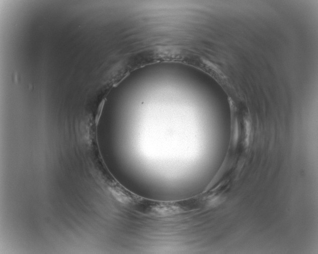 X0000070430712200606091304