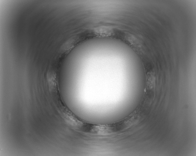 X0000070430713200606091304