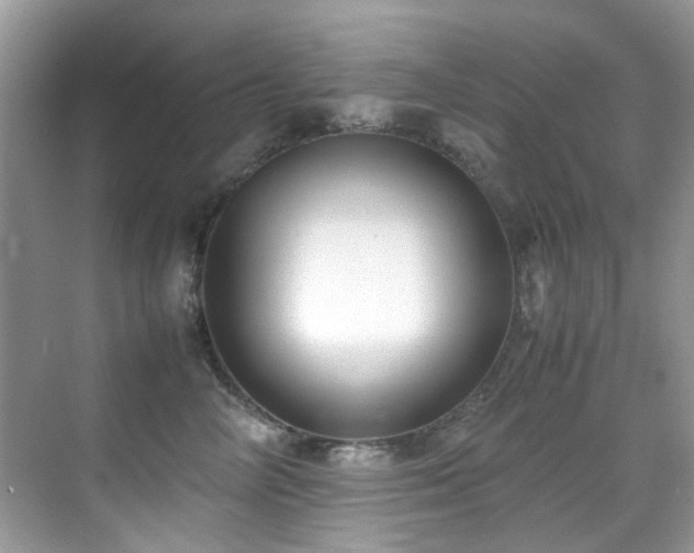 X0000070430714200606091304