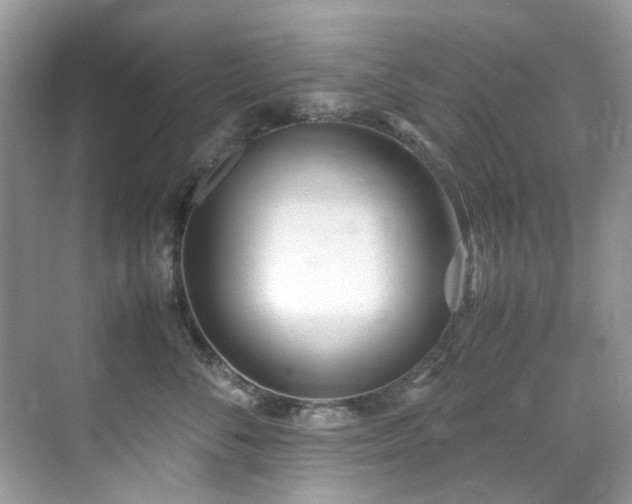 X0000070430716200606091304