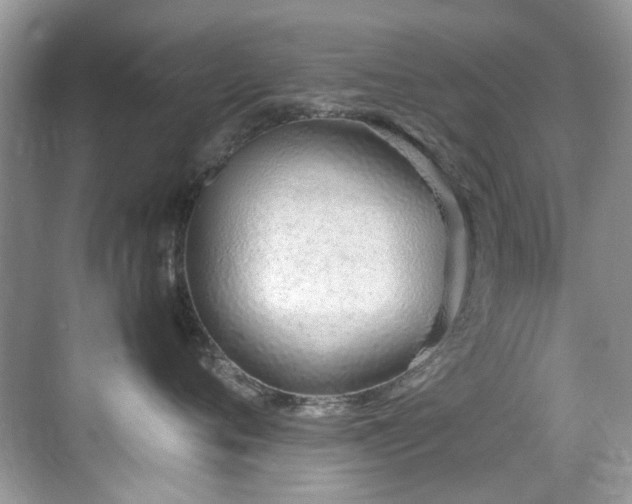 X0000070430720200606091304