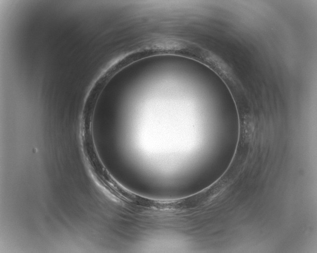 X0000070430726200606091303
