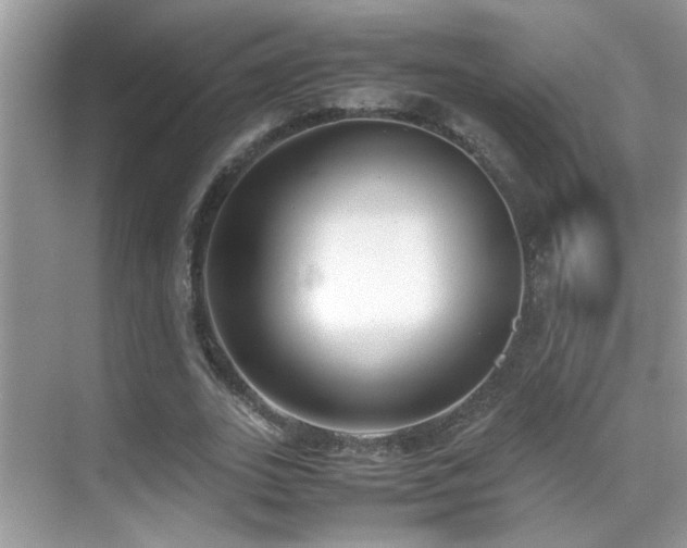 X0000070430727200606091303