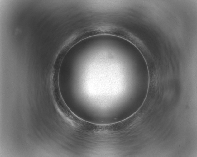 X0000070430730200606091303