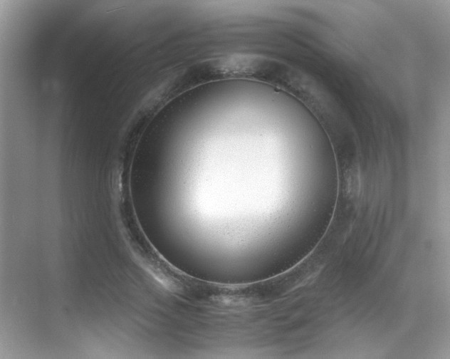 X0000070430733200606091303