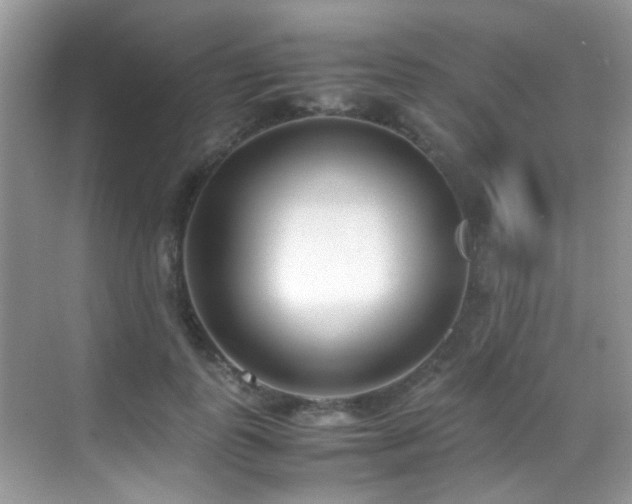 X0000070430747200606091303