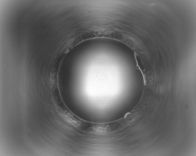 X0000070430756200606091304