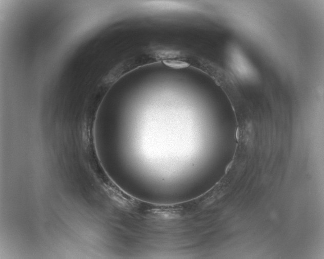 X0000070430763200606091304