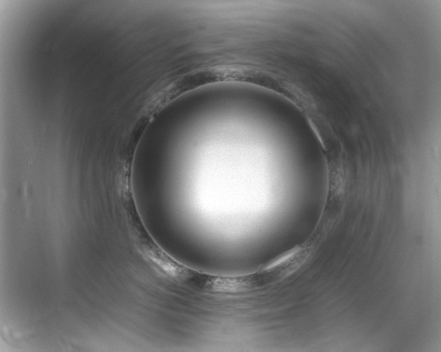 X0000070430766200606091304