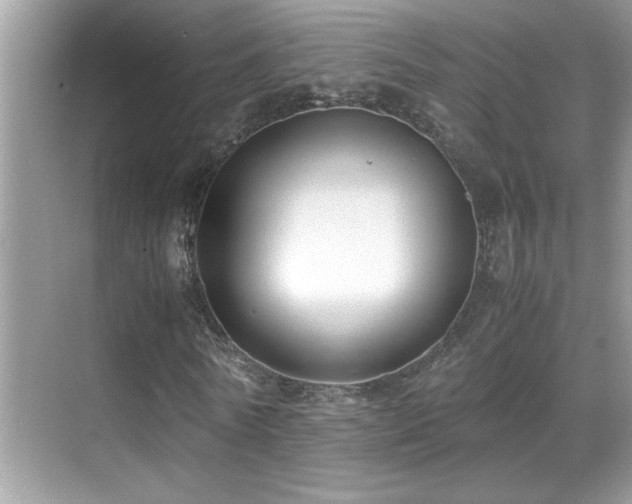 X0000070430770200606091303
