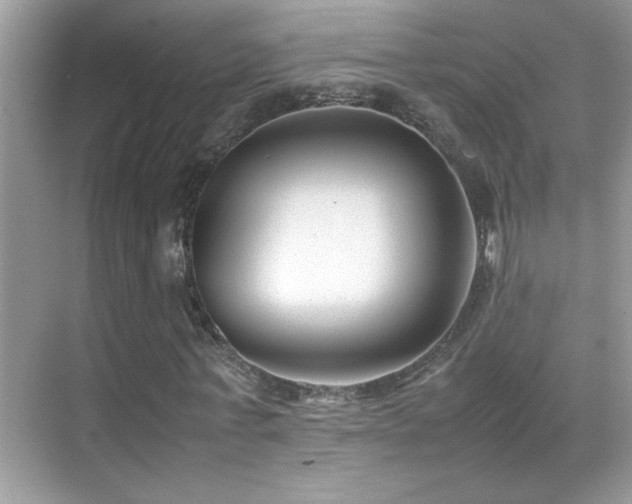 X0000070430771200606091303