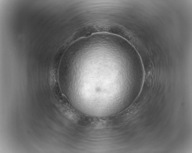 X0000070430772200606091303