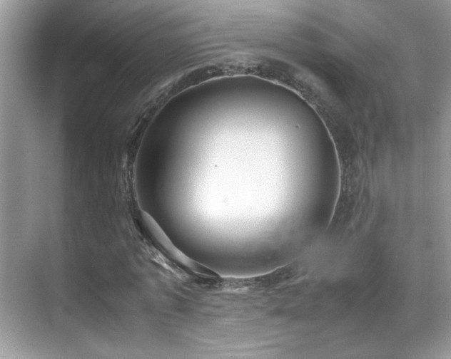 X0000070430773200606091303