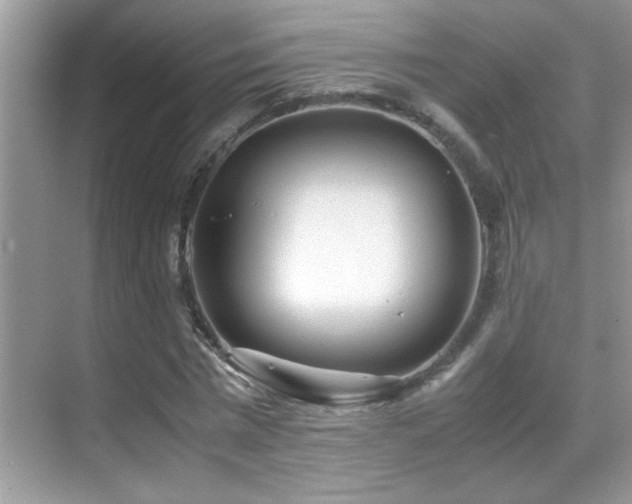 X0000070430777200606091303