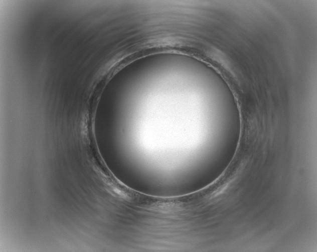 X0000070430778200606091303