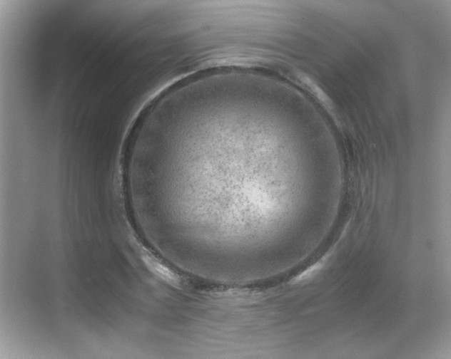 X0000070430779200606091303