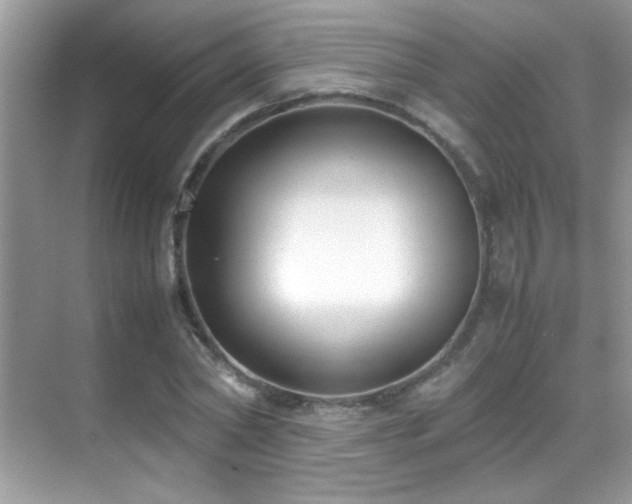 X0000070430782200606091303