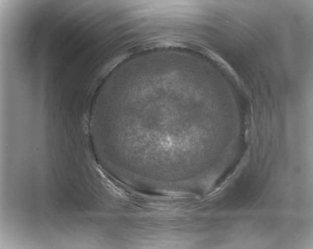 X0000070430785200606091303
