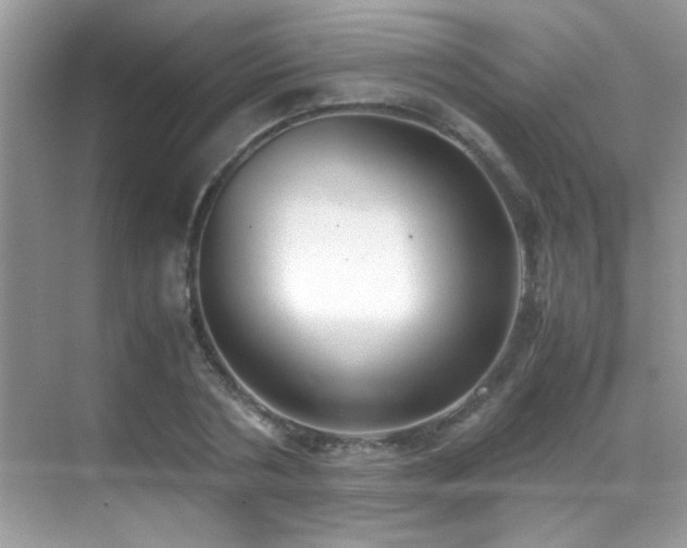 X0000070430786200606091303