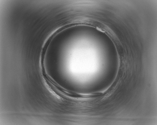 X0000070430788200606091303