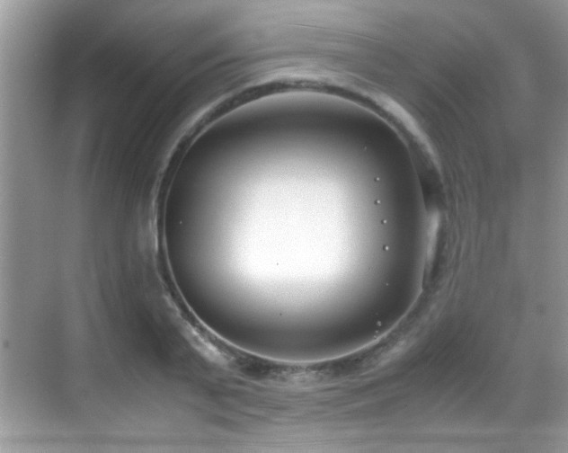 X0000070430791200606091303
