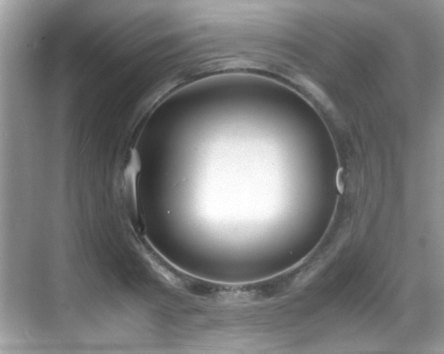 X0000070430793200606091303