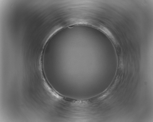 X0000070430806200606091302