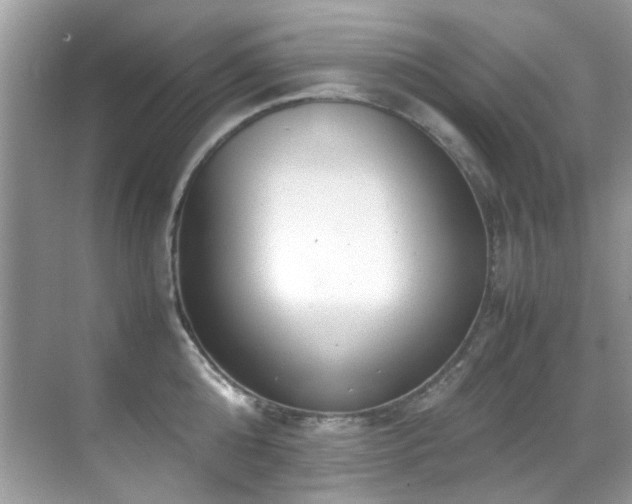 X0000070430808200606091302