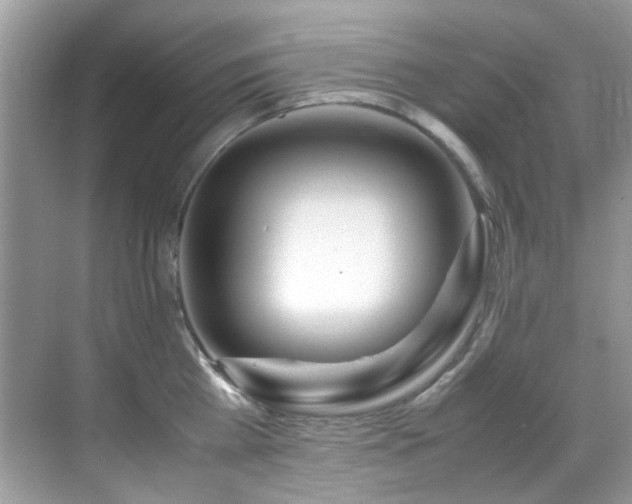 X0000070430809200606091302