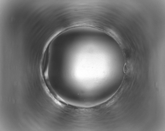 X0000070430812200606091302