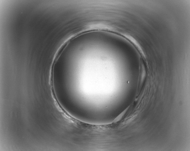 X0000070430815200606091302