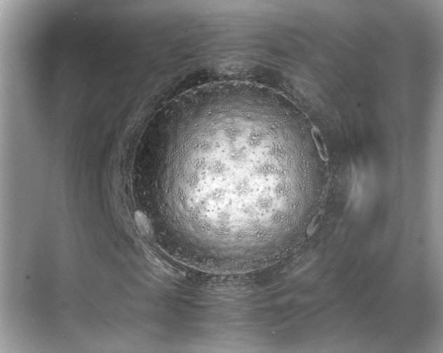 X0000070430817200606091301