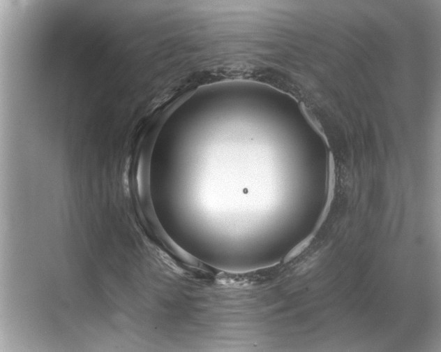 X0000070430818200606091301