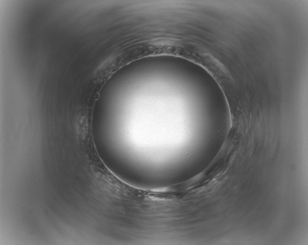 X0000070430821200606091301