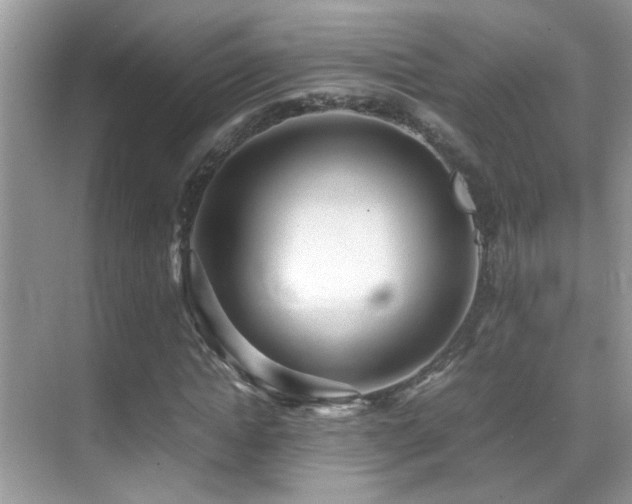 X0000070430822200606091301