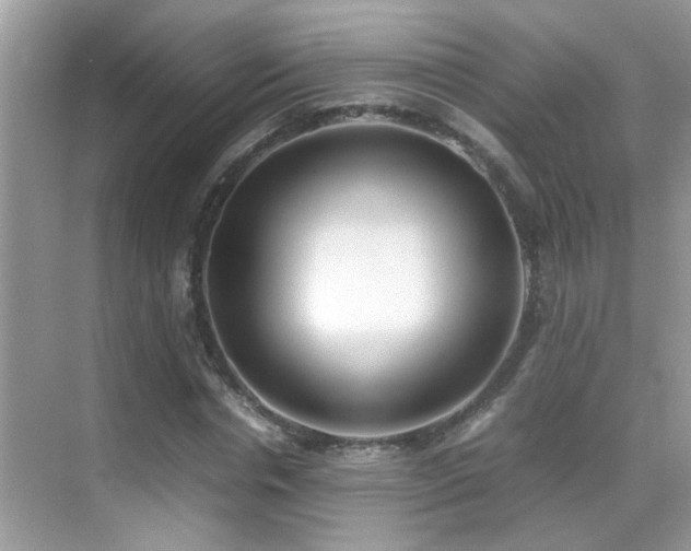 X0000070430826200606091301