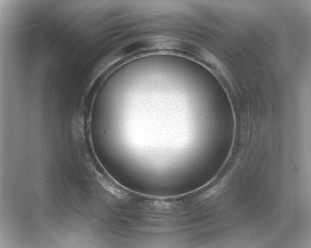 X0000070430827200606091301