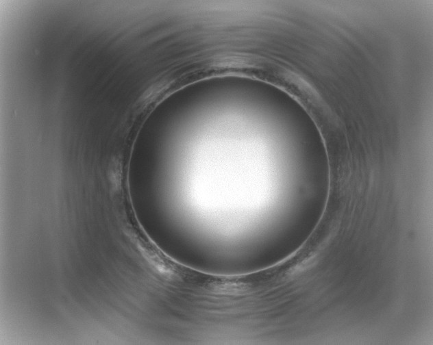 X0000070430833200606091302
