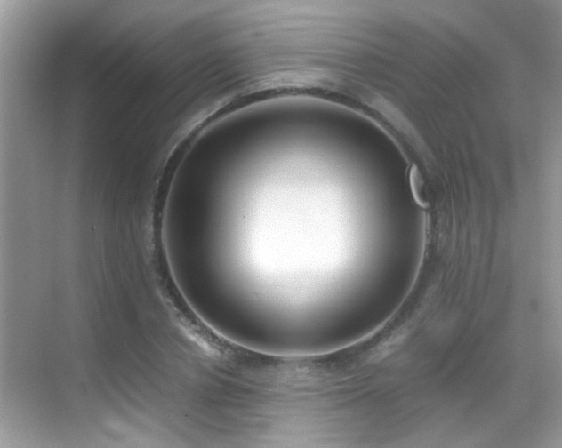 X0000070430834200606091302