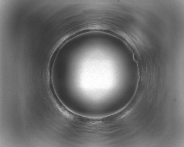 X0000070430837200606091302