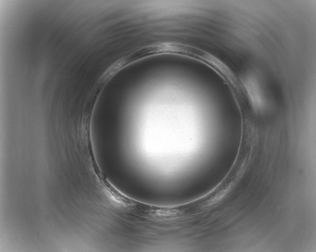 X0000070430857200606091302