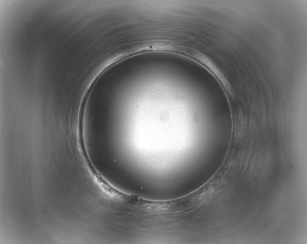 X0000070430861200606091302