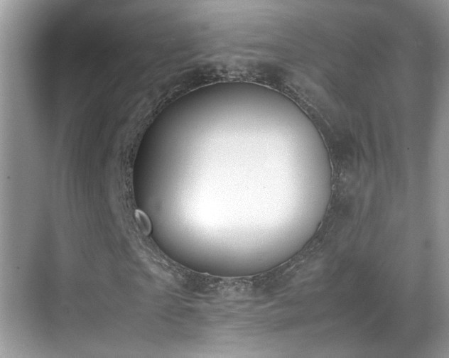 X0000070430865200606091301